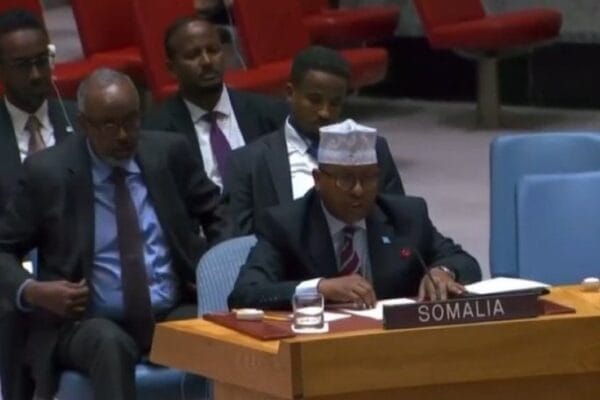 Somali Foreign Minister Addresses UN Security Council, Condemns Ethiopian Actions